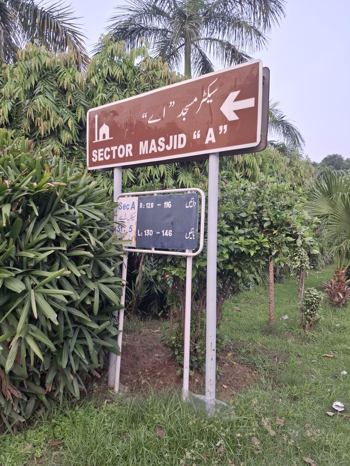 Street 5 board